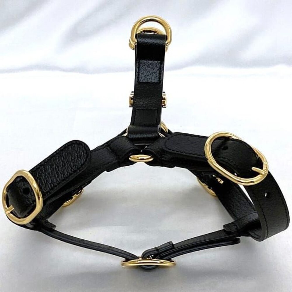 Gucci Harness Black Interlocking Never - image 3
